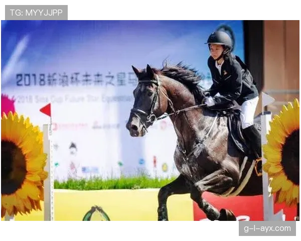 恩佐战术显效助力球队，未来赛事展望积极