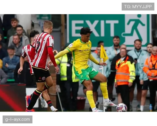 谢菲联“刀片军团”强势崛起,剑指英超佳绩引期待 谢菲联“刀片军团”强势崛起,剑指英超佳绩引期待