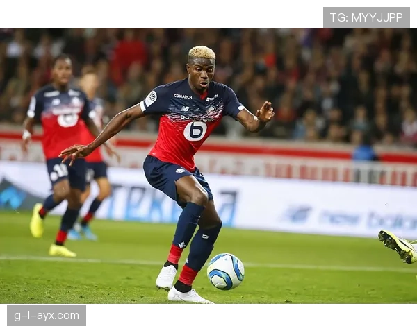 奥斯梅恩单赛季25+进球的高产输出解析